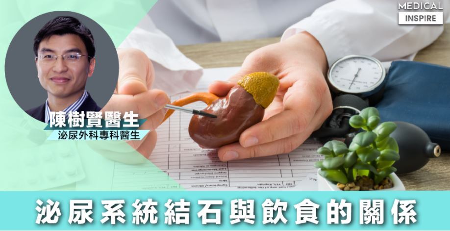 泌尿系統結石與飲食的關係|陳樹賢醫生